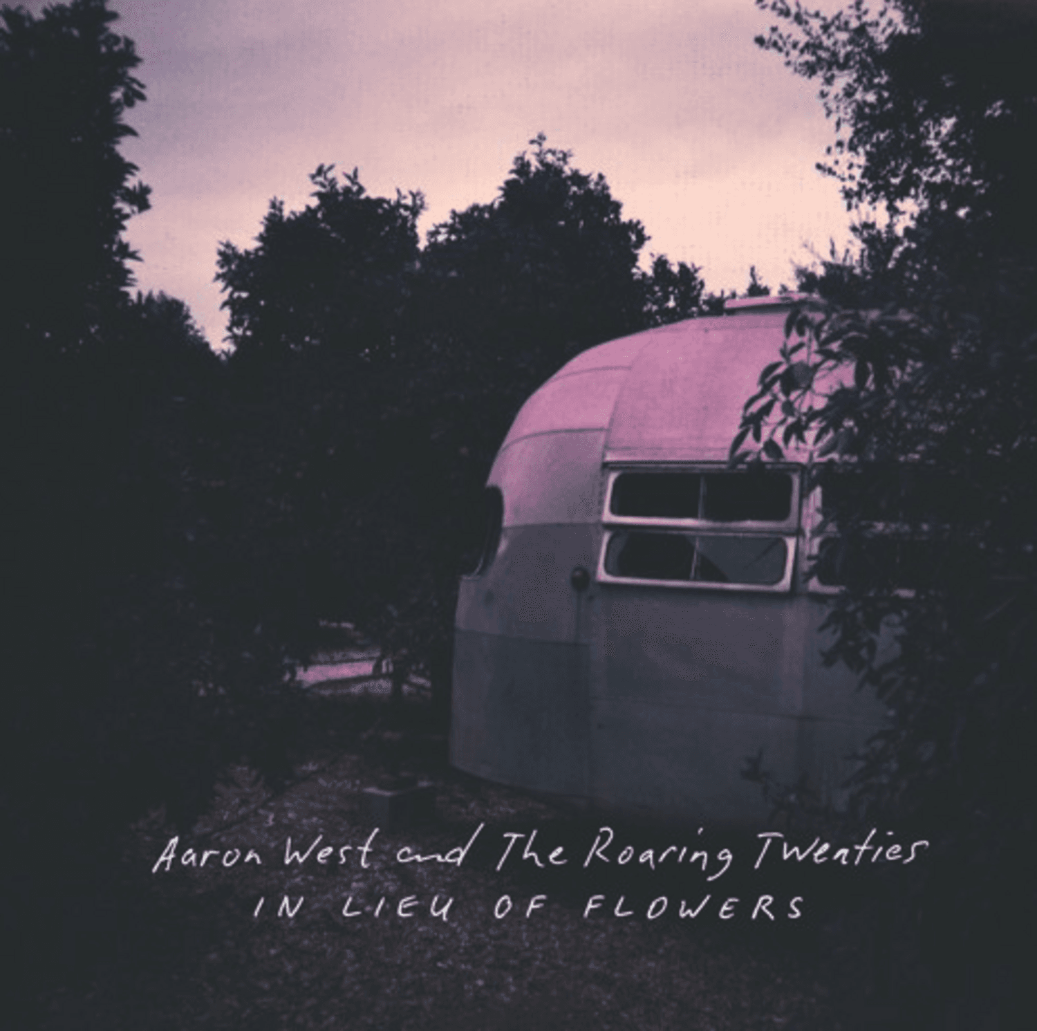 Cover art for In Lieu of Flowers