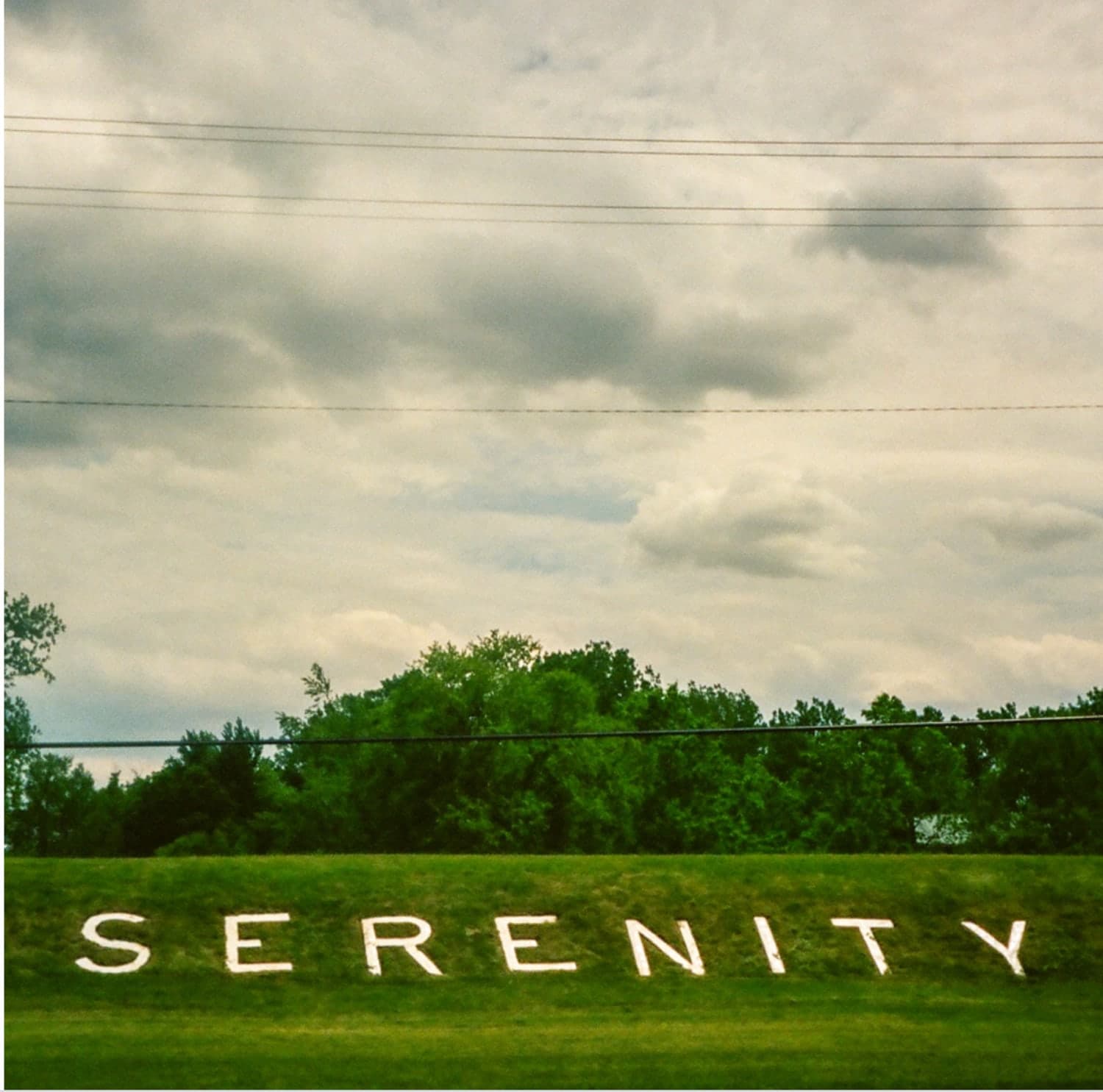 Sharkswimmer — Serenity