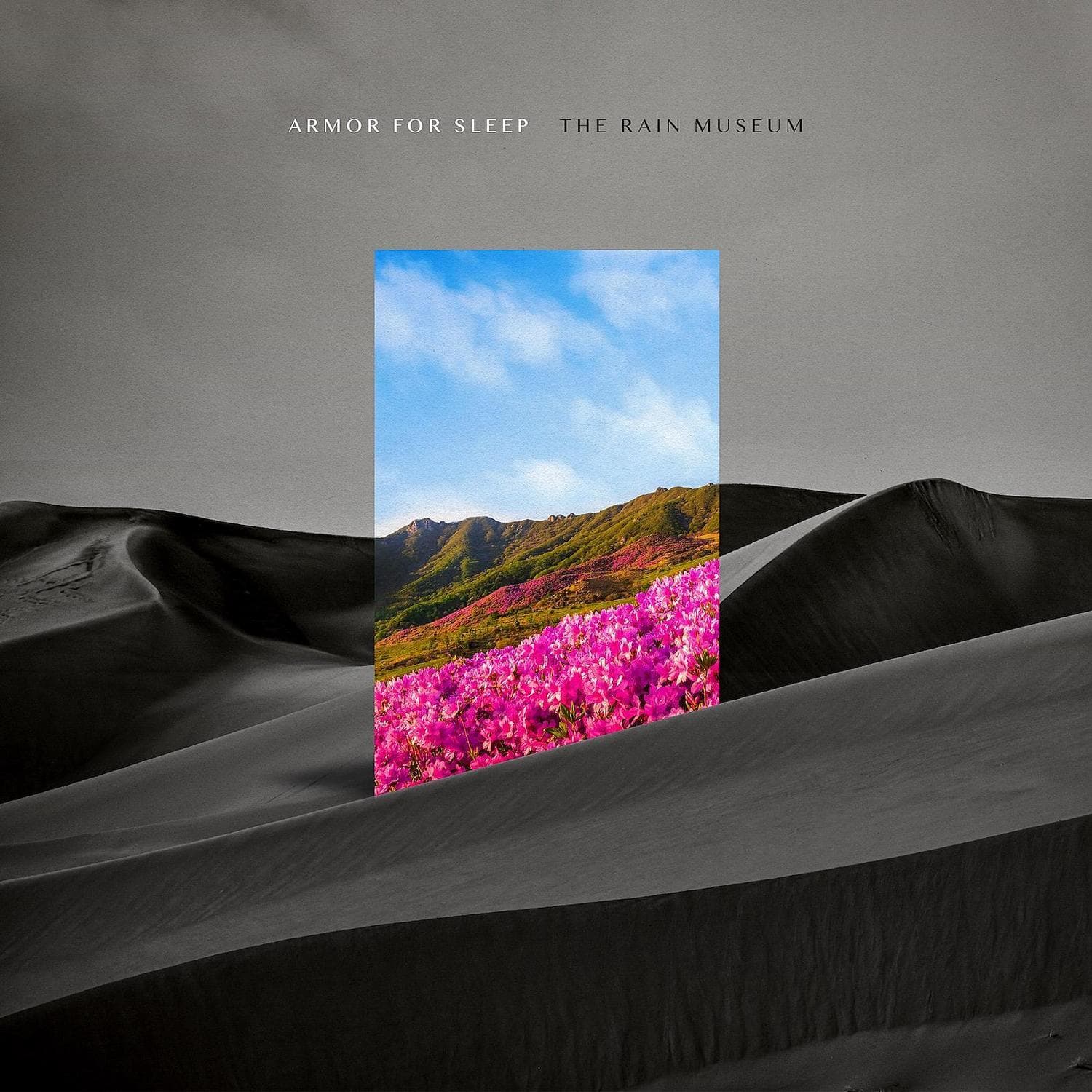 Cover art for The Rain Museum