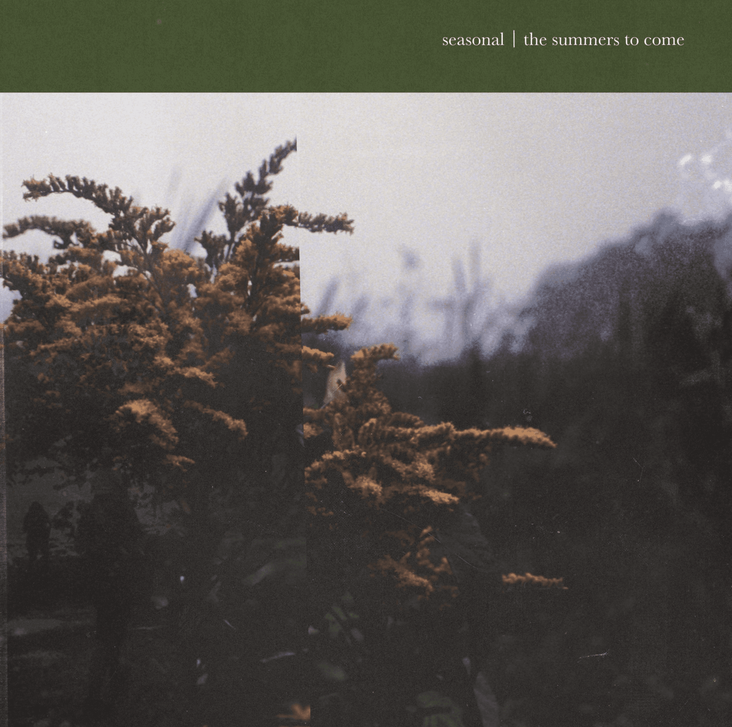 Cover art for The Summers to Come