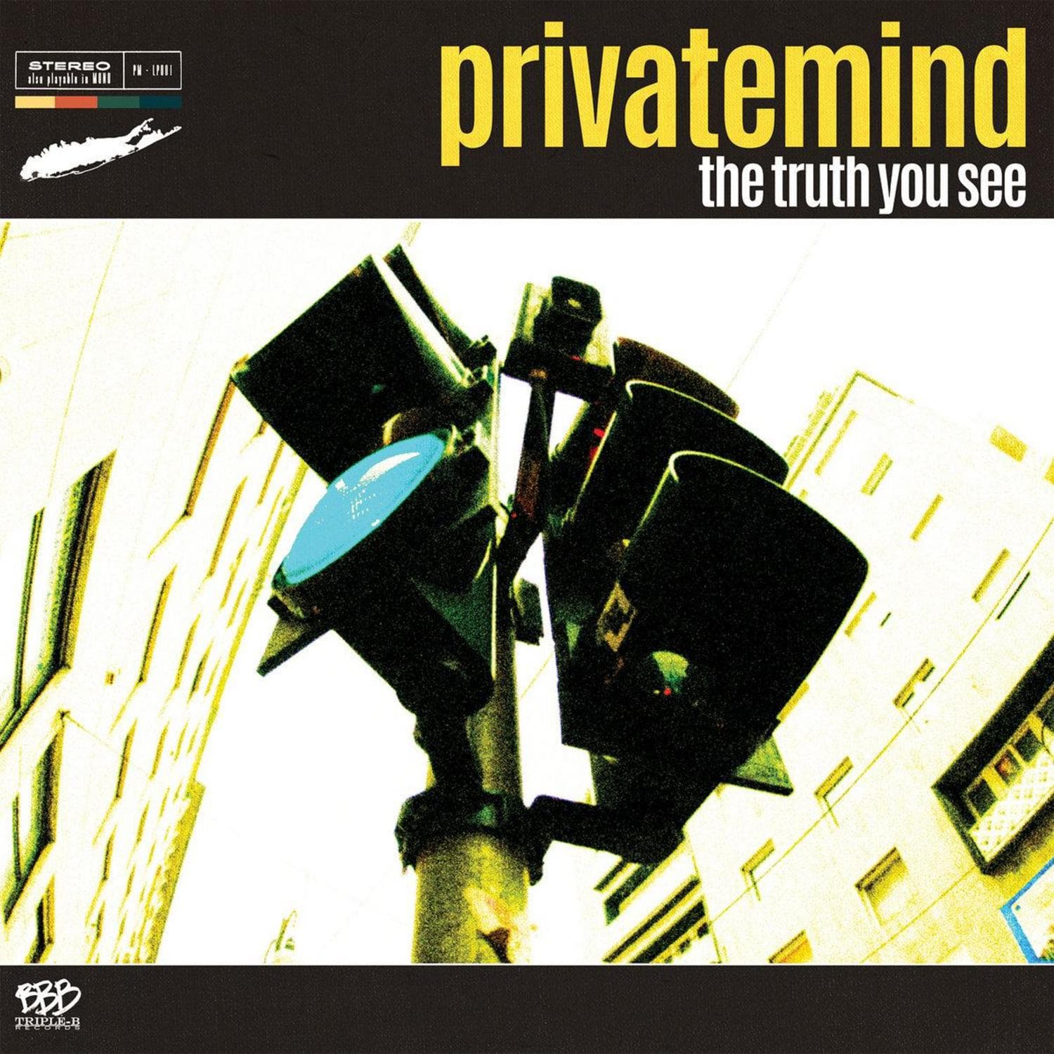 Cover art for The Truth You See