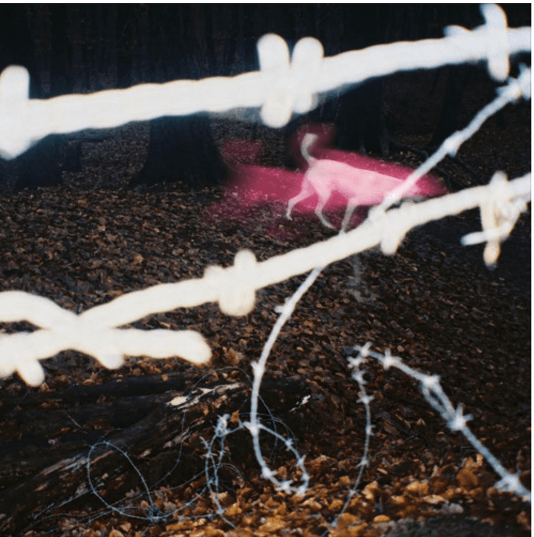 What Consumes Me by Hippie Trim album cover art - Hardcore, Punk, Melodic Hardcore