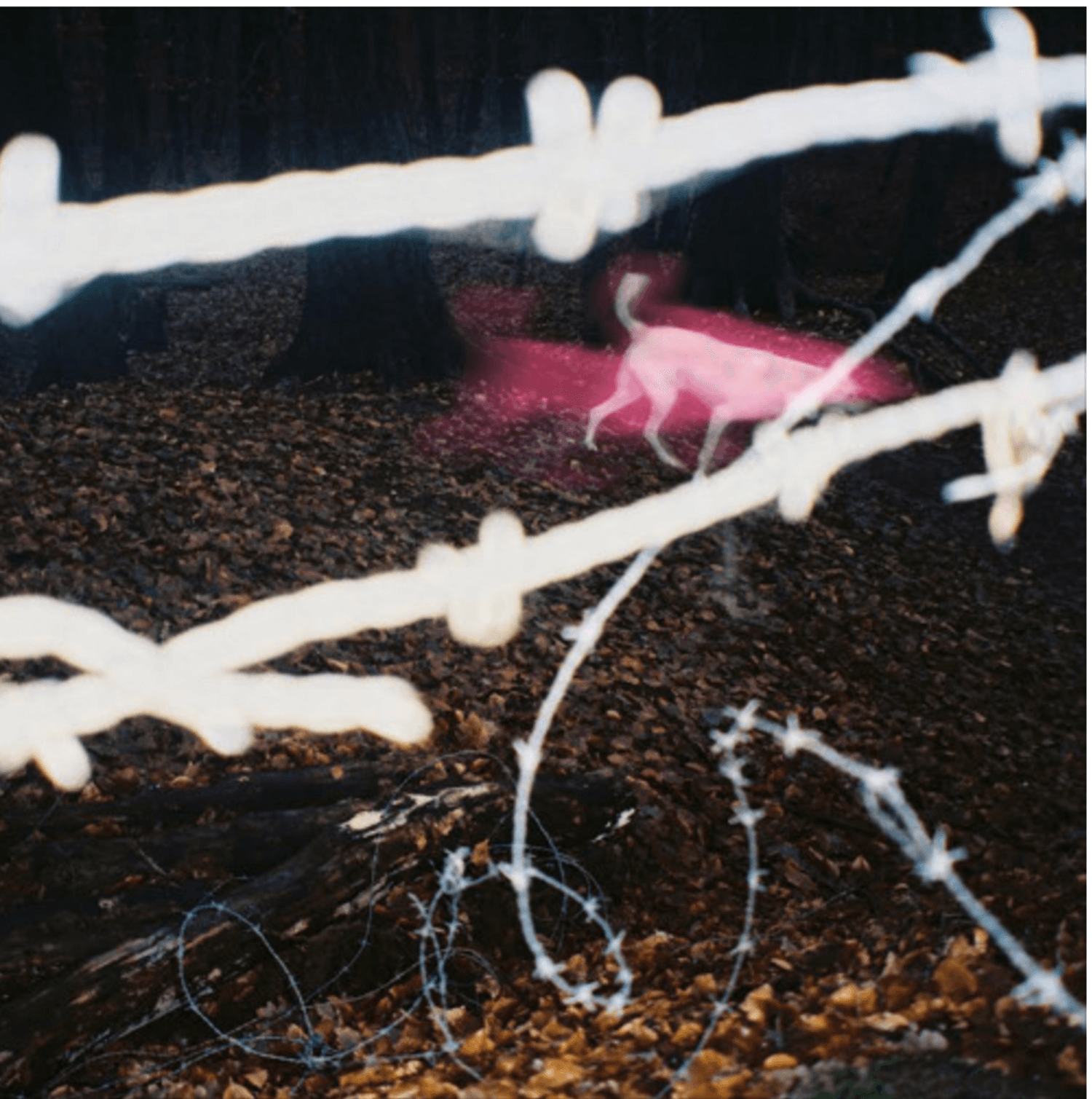 Cover art for What Consumes Me