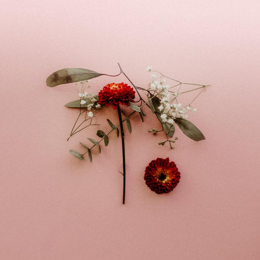 You Can Miss Something & Not Want It Back by Sunsleeper album cover art