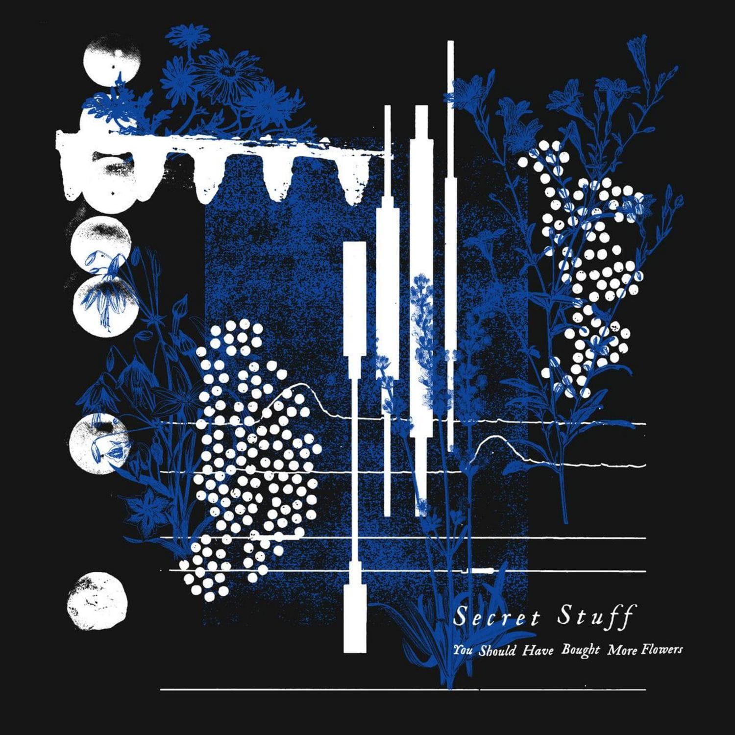 Cover art for You Should Have Bought More Flowers