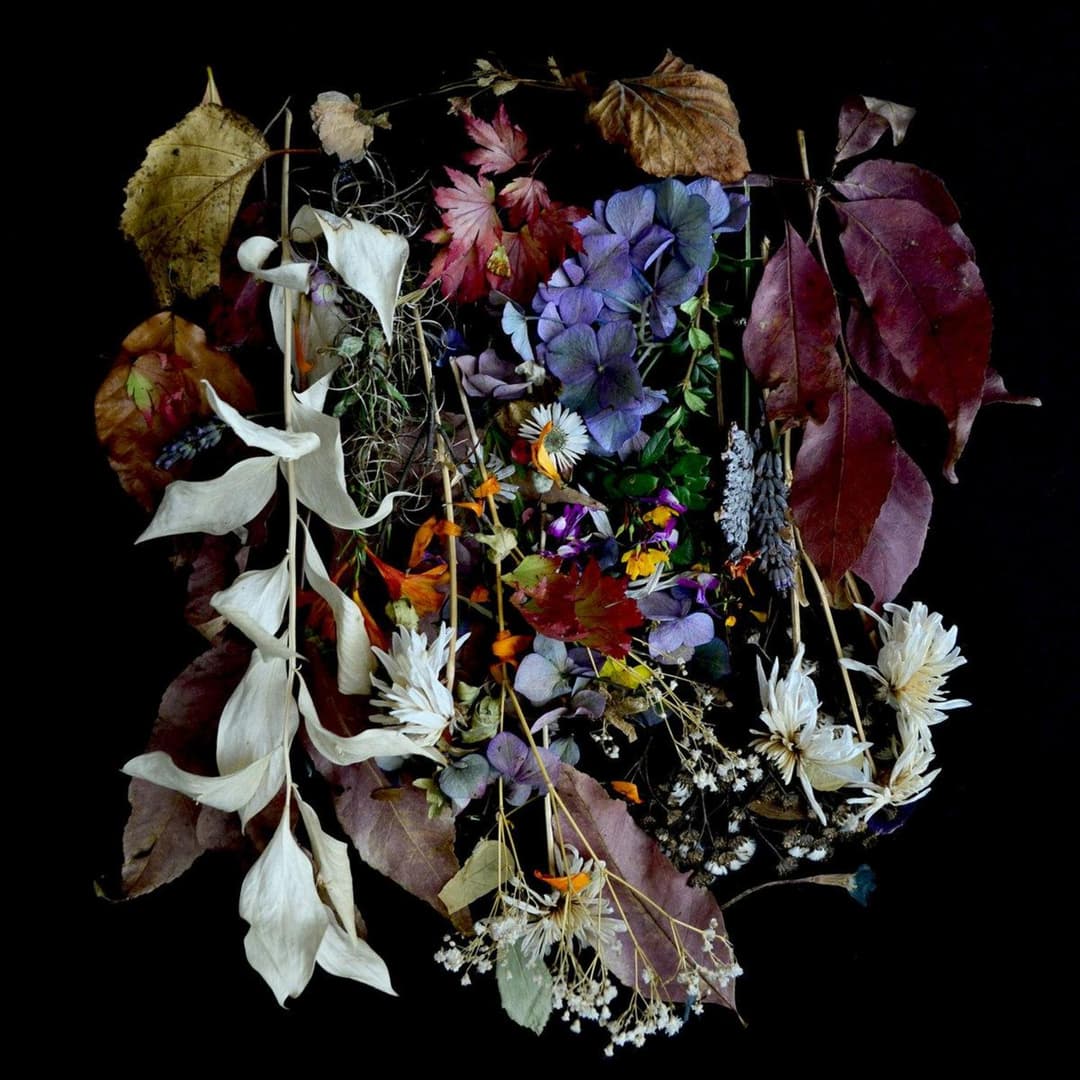 Your Church On My Bonfire by PAWS album cover art