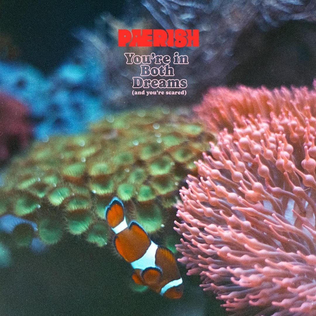 image of You’re in both dreams (and you’re scared)