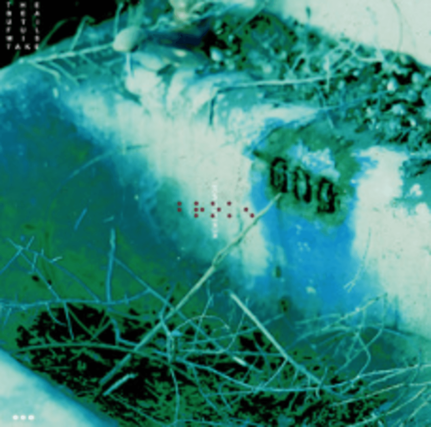 Cover art for You're Not Broken. I Am