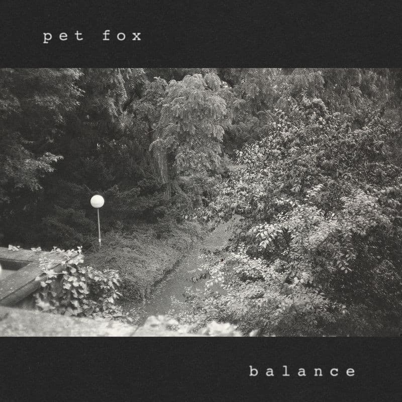Balance by Pet Fox album cover art - Indie Rock, Emo, Post Punk, Alternative Rock