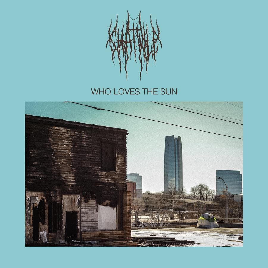Who Loves The Sun by Chat Pile album cover art - Hardcore, Noise Rock