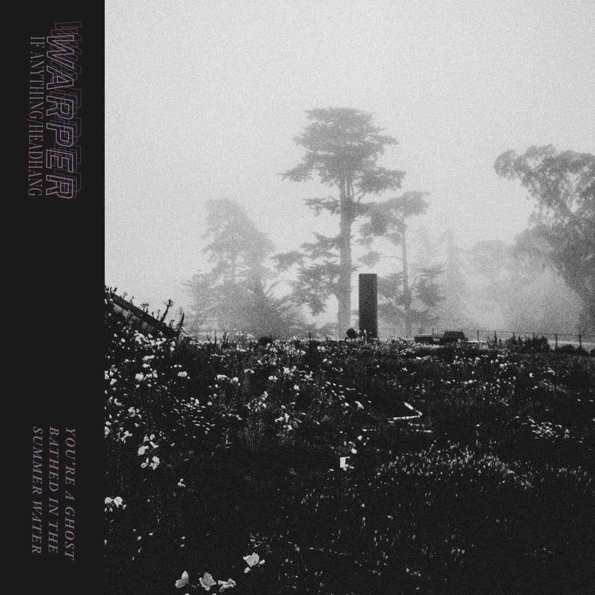 Warper — If Anything/Headhang