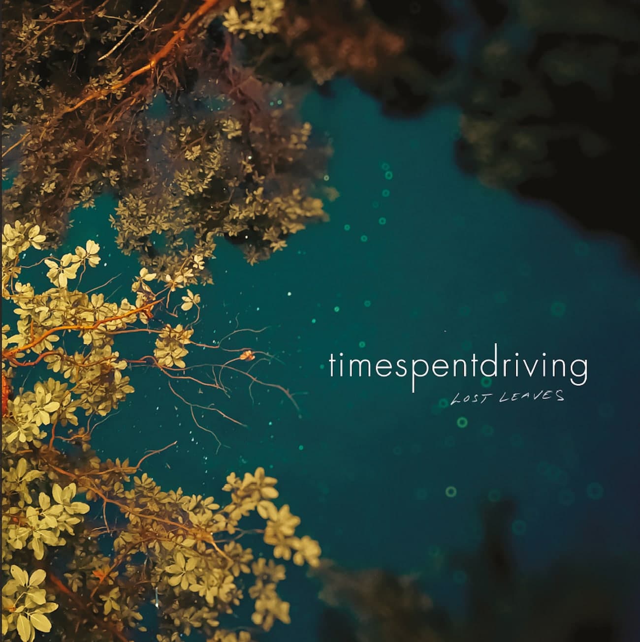 Lost Leaves by Time Spent Driving album cover art - Indie Rock, Emo