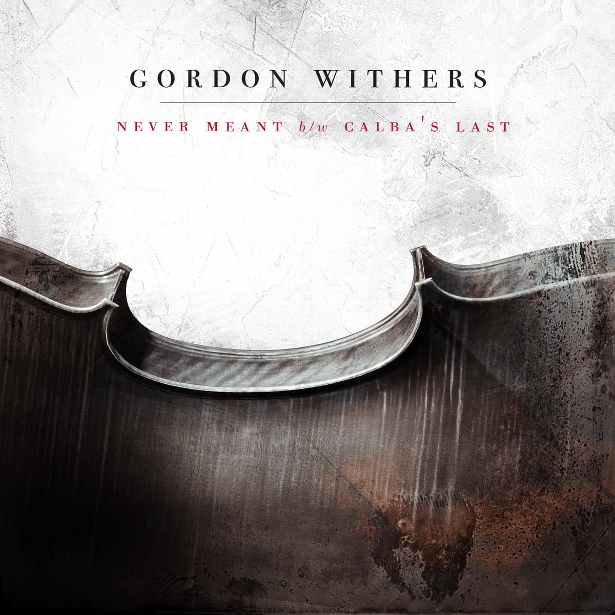 Gordon Withers — Never Meant: A Benefit for SPLC