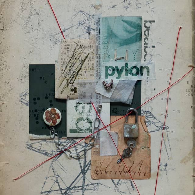 beabadoobee — Pylon