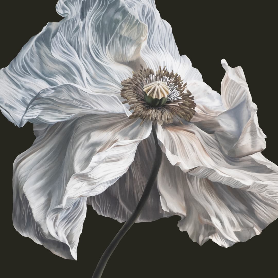 Bring On The Psychics by Quicksand album cover art - Post Hardcore