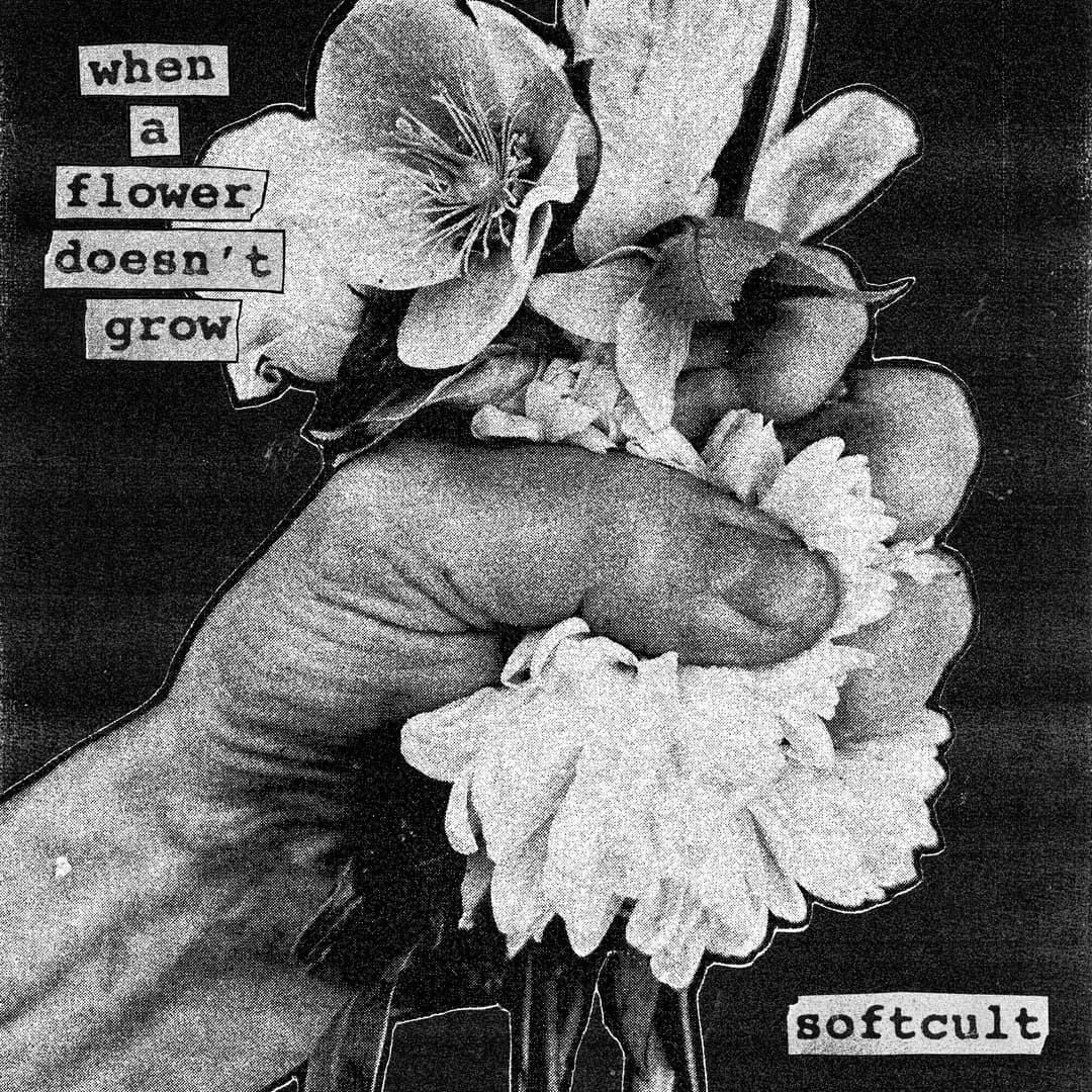 When A Flower Doesn't Grow by Softcult album cover art - Shoegaze, Grunge, Alt Rock