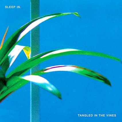 Sleep In. — Tangled In The Vines