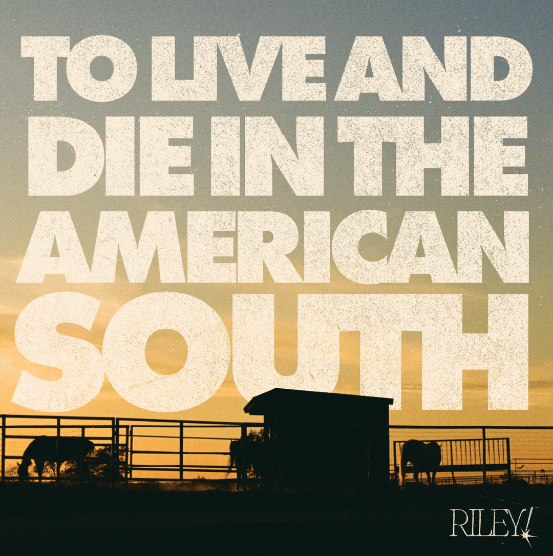 image of To Live And Die In The American South