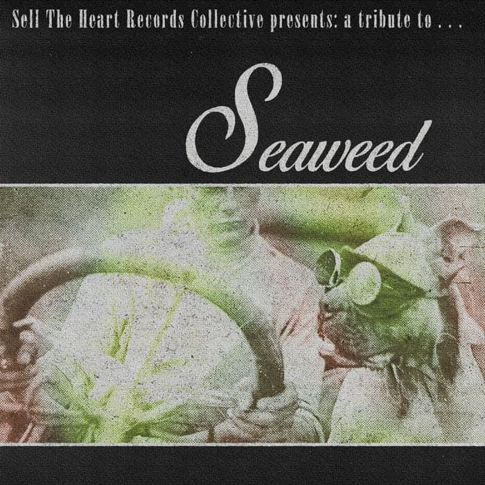 Tribute to Seaweed by Sell The Heart Records Collective album cover art - Post Hardcore, Punk Rock