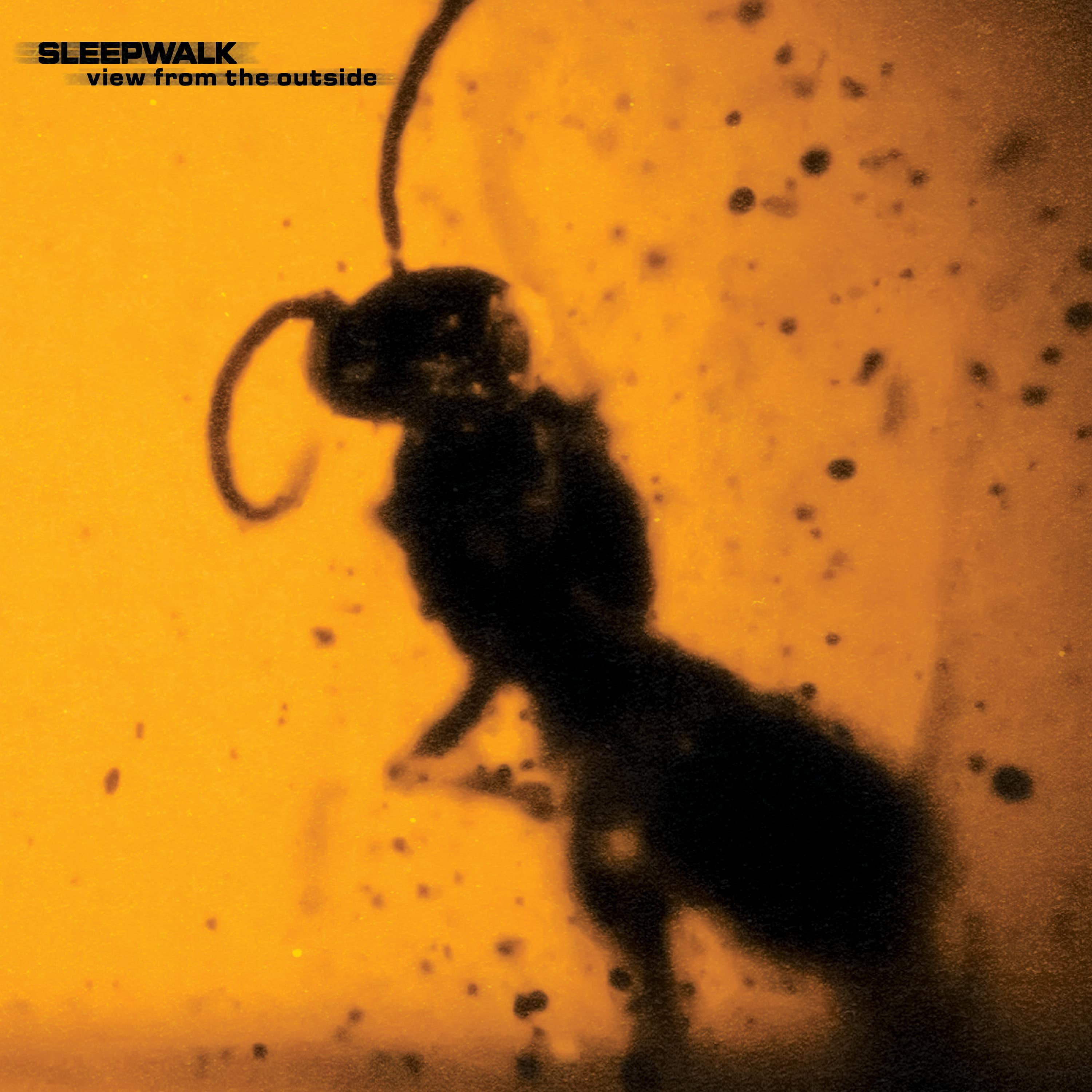 Sleepwalk — View From The Outside